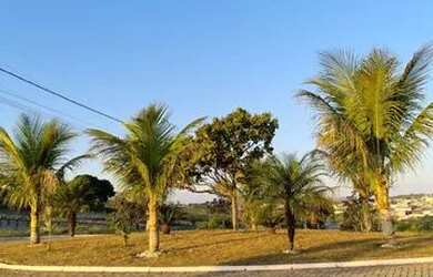 Imagem 5: Lotes em Pedro Leopoldo MG