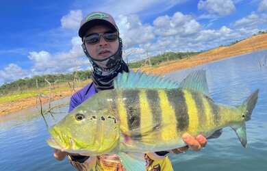 Imagem 4: LOTES NA MARGEM DA SERRA DA MESA