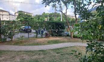 Imagem 4: Apartamento a venda e locação no Rio de Janeiro, bairro Anil