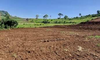 Imagem: Área de terra na Sede Figueira
