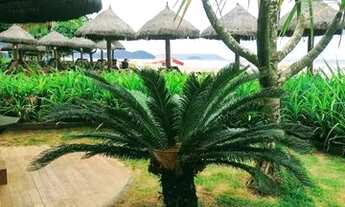 Imagem 7: Casa de praia em Boracéia - SP