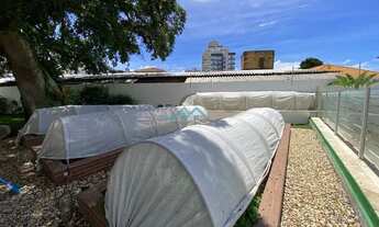 Imagem 3: Venda Apartamento com 3 dormitórios