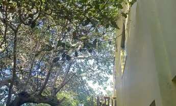 Imagem 9: Condomínio Busca Vida - Casa para locação