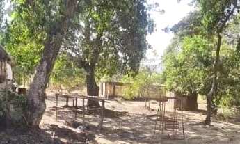 Imagem: Vendo sítio próximo ao outlet 65km de