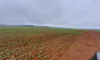 Imagem 2: Fazenda a venda São João da Aliança - Goiás!!!