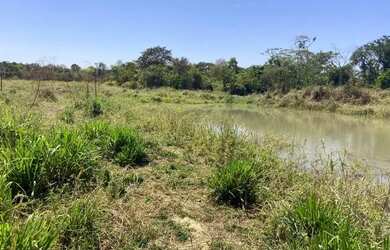 Imagem 7: CHÁCARA EM GOIANIRA (OPORTUNIDADE) 20.000 M²