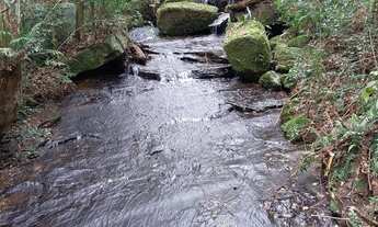 Imagem 2: Chácara de 4.686m² pertinho de Gramado