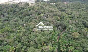 Imagem 3: Galpão Manaus - 33.200 m² - AM 010 - TRV286