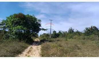 Imagem 6: FAZENDA PEDRA NO DISTRITO DE BOA UNIÃO - 25 TAREFAS DE TERRA - BR 110 - PORTÃO - ALAGOINHA