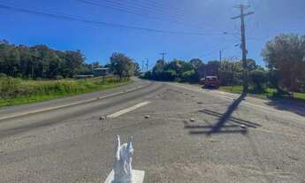 Imagem 3: Terreno,bairro Forqueta