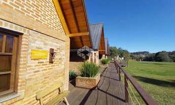 Imagem: Área Turística no Vale dos Vinhedos