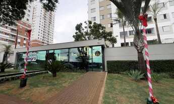 Imagem: Apartamento para venda e locação, Terra