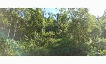 Imagem 6: Casa RODEIO - SC