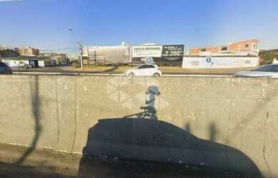 Imagem 6: Terreno à margem da BR 116