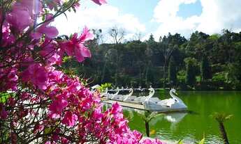 Imagem 5: Area - Bairro Carniel