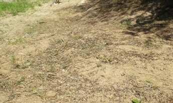 Imagem 4: Vendo terreno no Rochedo