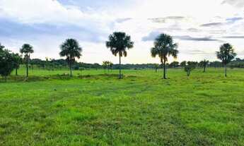 Imagem: Vendo Fazenda a 500 metros de Alto Alegre