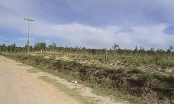 Imagem 4: Terreno à venda Parque Fragata Capão do Leão/RS