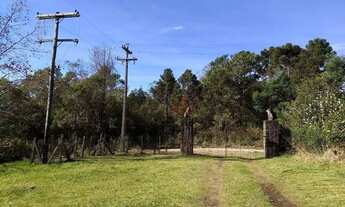 Imagem 4: Sítio à Venda em Gramado!