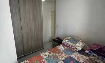 Imagem 4: Alamedas do Norte [2478