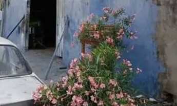 Imagem: Vendo barracão