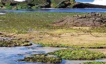 Imagem 4: EXCELENTE APARTAMENTO 2 QUARTOS, 1 SUÍTE, 64M² 2 VAGAS COBERTAS, PORTEIRA FECHADA. STELLA