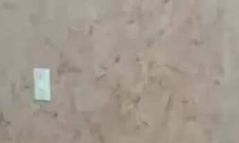 Imagem 7: Vende-se Casa no bairro vila nova zona sul RS