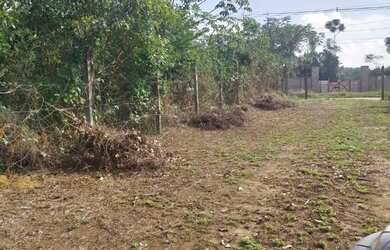 Imagem: Vendo lote na cidade universitária