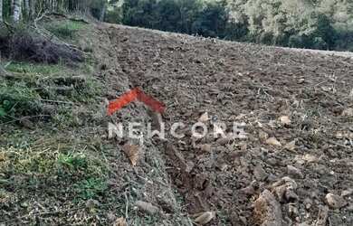 Imagem 5: Sítio em Rua Professor Júlio Carvalho Gomes - Roça Velha - São José dos Pinhais/PR