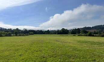 Imagem 6: Imóvel para venda tem 21257 metros quadrados em São Luiz do Purunã - Balsa Nova - PR