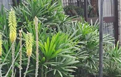 Imagem 2: Casa à venda, 280 m² por R$ 1.990.000,00 - São Francisco - Niterói/RJ