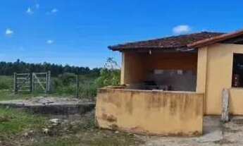 Imagem: Fazenda Agropecuária a Venda com 52 Alqueires