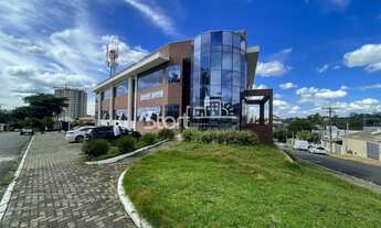 Imagem: Prédio - Nova Campinas - Campinas