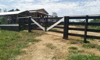 Imagem 5: Vende-se Colônia em Feijó