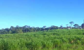 Imagem 6: Fazenda com 280 hectares em Rorainópolis/RR, ler descrição do anuncio