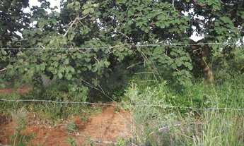 Imagem 6: OPortunidade de ter seu imovel 1.000m 8mil de entrada * whatsapp