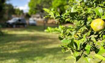 Imagem 5: Belíssima chácara com piscina