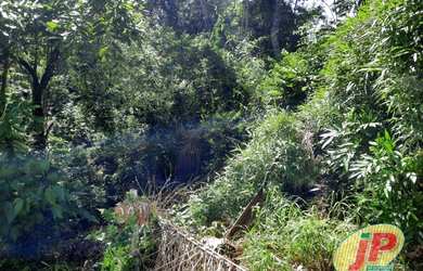 Imagem 3: Terreno no Condominio Cantegril