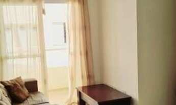 Imagem 5: LINDO APARTAMENTO- DISPONÍVEL PARA VENDA- CAMPINAS-SP