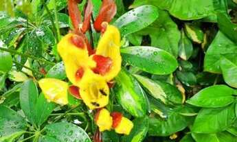 Imagem 2: Fazenda/Sítio/Chácara para venda com 400 metros quadrados com 3 quartos