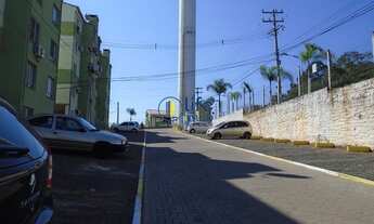 Imagem 2: SãO LEOPOLDO - Padrão - Pinheiro