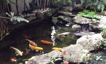 Imagem 3: APARTAMENTO RESIDENCIAL em SÃO PAULO - SP, MIRANDÓPOLIS