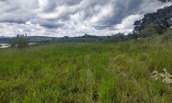 Imagem 3: Lote/Terreno para venda com 1000 metros quadrados em Nova Santa Isabel - Santa Isabel - SP
