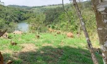 Imagem 2: Terreno localizado em Nazaré paulista