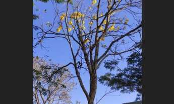 Imagem 6: Casa em Condomínio Fechado, MG010, KM55, sentido serra do cipo