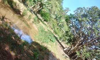 Imagem 7: Granja com água e luz