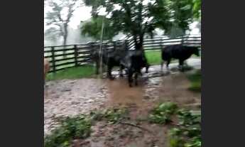 Imagem 6: Fazendinha!!!2 Poços Artesiano/Curral/Área Total 76 Hectares!!!