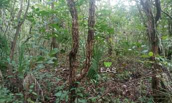 Imagem 5: Fazenda em Cristalandia. 40 mil por alqueire