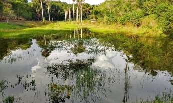 Imagem 3: Oportunidade única, no Km 07 da AM 070, Chácaras Rio Negro