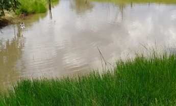 Imagem 4: Fazenda 127 Alqueires 2,700.00 Milhão